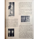 Przegląd Hodowlany - ilustrovaný měsíčník - věnovaný teorii a praxi chovu domácích zvířat - Varšava říjen 1936