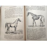 Prawocheński R. - Breeding of horses T. i -III - [complete], Warsaw 1947/50.