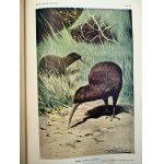 Collective work - Great Nature Illustrated - Complete T. I - IV, Warsaw 1934