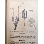 Tański W. - Świat Roślin - Botanika - Warschau 1902 [ mit Zeichnungen].