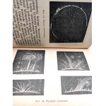 Tolwinski G. - Fundamental news about the sun - Warsaw 1903 [engravings].