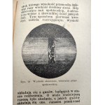 Tolwinski G. - Fundamental news about the sun - Warsaw 1903 [engravings].