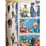 Captain Wildcat - RISK 1,2,3 - Erstausgabe - 1968