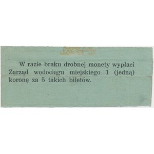 Kraków, Zarząd Wodociągu Miejskiego, 20 halerzy 1919 - numer odręczny -