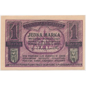 Gniezno/Witkowo, 1 marka 1919
