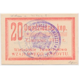 Wieluń, T-wo Wzajemnego Kredytu, 20 kopiejek 1917