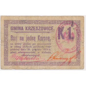 Krzeszowice, 1 korona 1919