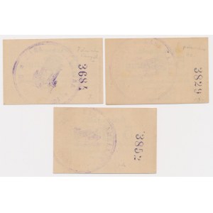 Grodzisk (Grätz), 5 fenigów 1917 (3 szt.)