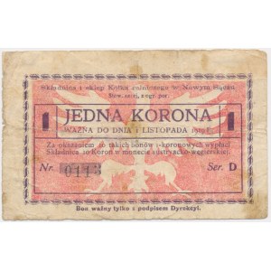 Nowy Sącz, 1 crown 1919
