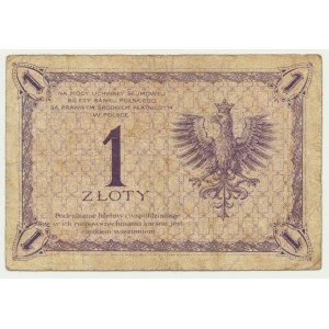 1 złoty 1919 - S.17 D -
