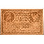 1.000 marek 1919 - Ser.D -