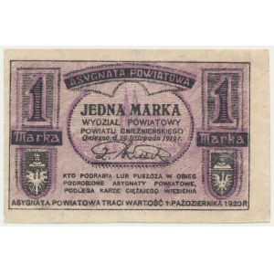 Gniezno/Witkowo, 1 Mar 1919