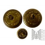 Set of American Military Buttons