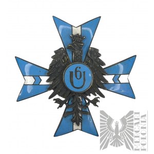 Odznak 6. pluku Kaniowských ulánov - kópia