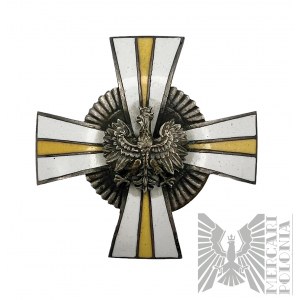 Odznaka 24 Pułk Ułanów - kopia&nbsp;