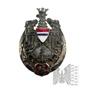 Odznaka 10 Pułk Ułanów - kopia