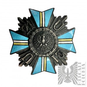 Odznak 21. ulánského pluku - kópia