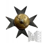 Odznak Horse Artillery Squadron - kopie