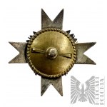 Odznaka 1 Pułk Ułanów Krechowieckich - kopia