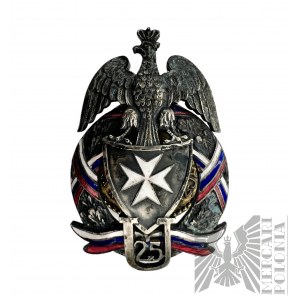 Odznaka 25 Pułk Ułanów - kopia