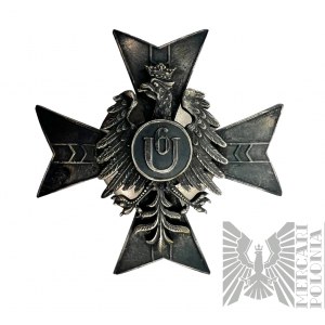 Odznaka 6 Pułk Ułanów - kopia
