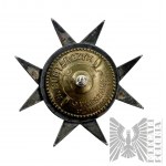 Odznak 14th Cavalry Lancers Regiment - kopie