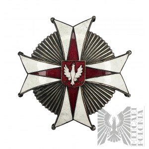 Odznak 22. ulánského pluku - kopie