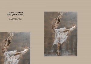 Mariusz Zając, seria Baletnice Zaklęte w ruchu