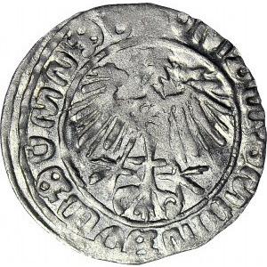 RR-, Zygmunt II August, Półgrosz, fantazyjne fałszerstwo w dobrym srebrze