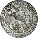 Zygmunt III Waza, Ort 1623, Bydgoszcz, wyjątkowo ładny