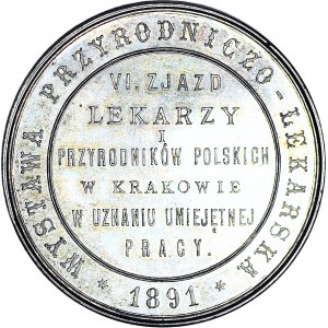 RR-, VI zjazd lekarzy i przyrodników w Krakowie, Medal 1891, srebro
