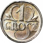 1 grosz 1925, menniczy, kolor BN