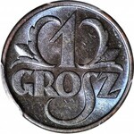 1 grosz 1939, menniczy, kolor BN