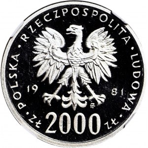 2000 złotych 1981, Władysław Herman, PRÓBA dla złota, nikiel