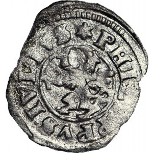 RRR-, Pomorze, Księstwo Wołogoskie, Filip Juliusz, Wit 1619, R6