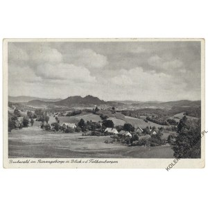 [BUKOWIEC] Buchwald im Riesengebirge m. Blick b.d. Falkenbergen