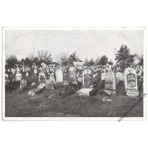 Jüdischer Friedhof von Brest-Litowsk [Judaica. Belarus. Brest. Jewish cemetery].