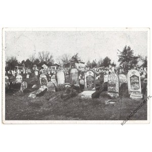 [Judaica. Białoruś. Brześć. Cmentarz żydowski] Jüdischer Friedhof von Brest-Litowsk