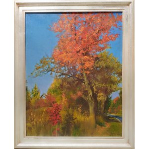 Bogdan Warowny, Landscape