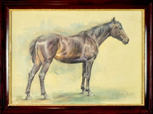 Jerzy POTRZEBOWSKI, (1921-1974-?), Horse