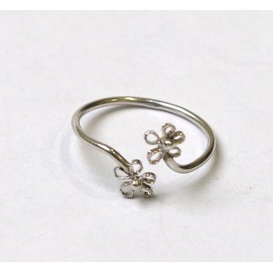 PRL, Imago Artis author's ring
