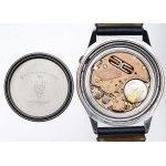 Switzerland, Omega Seamaster f300hz watch
