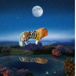 Paulina Zalewska, Parade lion, 2023