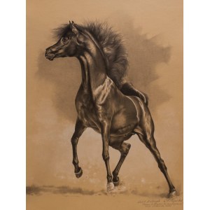 Slawomir Szereda, KAHIL AL SHAQAB, Arabian stallion, 2021