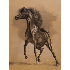 Slawomir Szereda, KAHIL AL SHAQAB, arabský hřebec, 2021