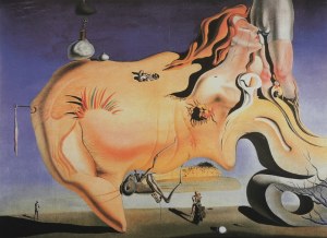 Salvador Dali (1904-1989), Great masturbator