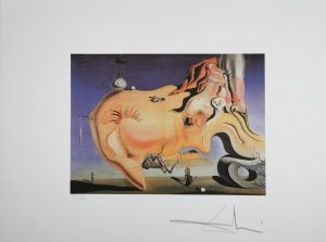 Salvador Dali (1904-1989), Great masturbator