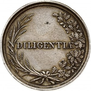 Medal DILIGENTIAE Alexander I (R3)