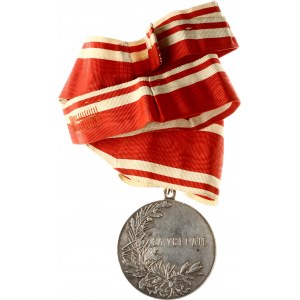 Big Silver Medal For Diligence of Nicholas II (R1) with neck ribbon