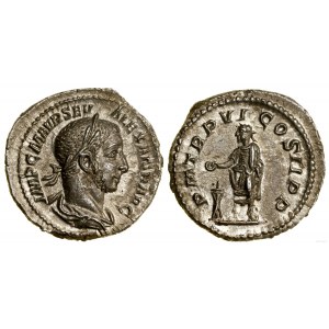 Römisches Reich, Denar, 227, Rom
